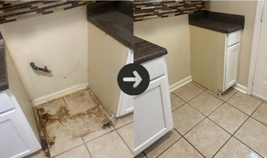 Before and after cleaning of a heavily soiled appliance space